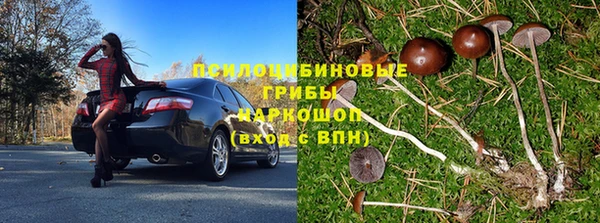 каннабис Аркадак