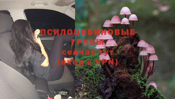 каннабис Аркадак